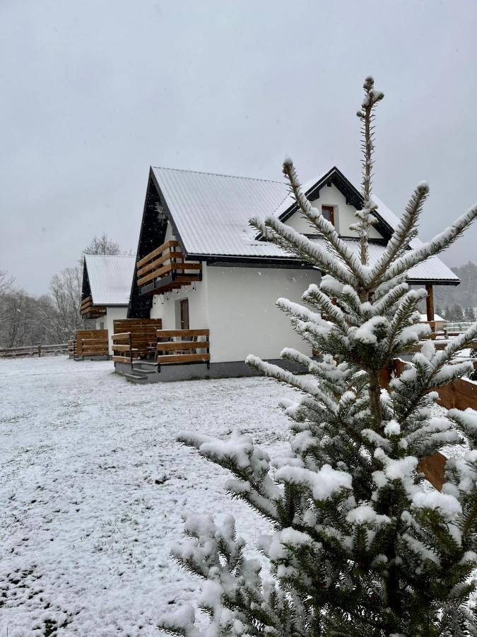 Zagroda Wypoczynkowa- Domki Nad Rzeka Smerekowiec Buitenkant foto