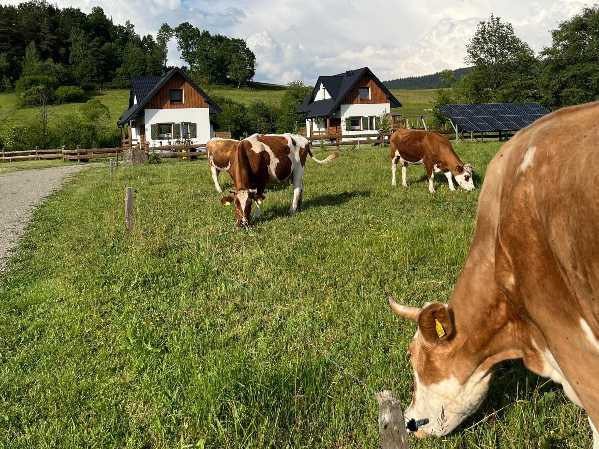Zagroda Wypoczynkowa- Domki Nad Rzeka Smerekowiec Buitenkant foto